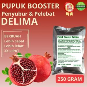 Pupuk Booster Delima / Obat Booster Buah Delima / Pupuk Booster Buah Delima / Pupuk Delima