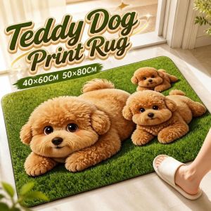 DIVATEN Diatomite Teddy Dog Print Rug Pet Themed Absorbent Entryway Rug Creative Abrasion-resistant Floor Mat Home Decor