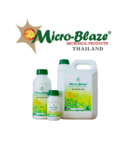 Micro-Blaze ELSC 5ลิตร จุลินทรีย์เข้มข้นจากอเมริกา ใช้ดับกลิ่นเหม็น เร่งด่วน และลดแมลงวันลดไก่ตีนด้าน  ตีนเปื่อย จุลินทรีย์ดับกลิ่นเหม็น