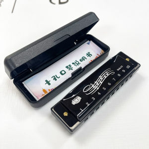 Harmonika Chromatic 10 Hole Harmonika Kromatik Harmonica Dengan Kotak