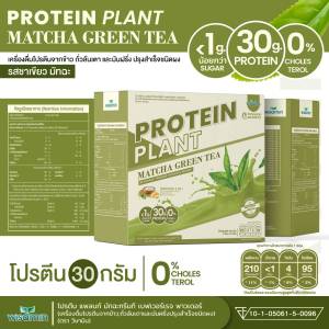 PROTEIN PLANT โปรตีน แพลนท์ รสชาเขียว มัทฉะ โปรตีนจากพืช 3 ชนิด โปรตีนจากข้าว ถั่วลันเตา มันฝรั่ง ปรุงสําเร็จชนิดผง 1 กล่อง 7 ซอง 350 กรัม