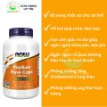 Viên uống bổ sung chất xơ thuần chay Now Psyllium Husk Caps 500mg 200 viên từ vỏ mã đề hữu cơ.. 