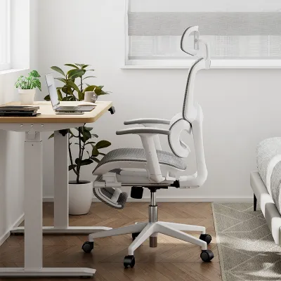 Deli Ergonomic Chair Adjustable Height Luxury Gaming Chair Main Pipe Chair Home Office Chair E4988