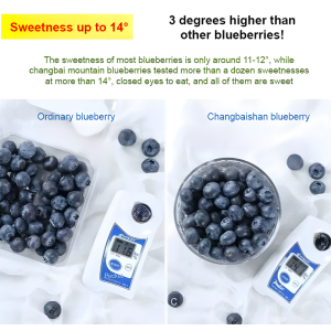 Changbai Mountain Five Star Dried Blueberries Northeast fivestar sachet blueberries