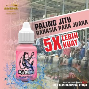 Esen ikan mas paling bagus musim hujan essen ikan mas essen ikan mas khusus babon essen galatama ikan mas