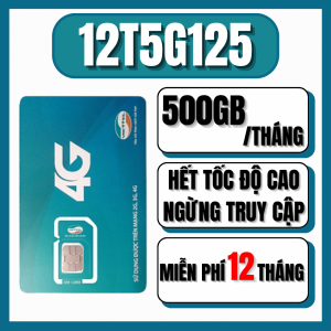 Sim 4G 5G Viettel 12T5G125 Tặng 500GB/Tháng (Không Chia Ngày Sử Dụng)  - Hỗ Trợ Nghe Gọi - Trọn Gói 12 Tháng Không Nạp tiền| FREESHIP - CHƯA KÍCH HOẠT