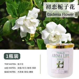 SNYD Mufacturer Wholesale Aromatherapy Summer New Product Essential Oil Household Indoor Fireless Fragrance Ornaments香薰