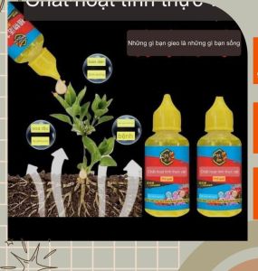 Kích thích mọc rễ cây phục hồi cây yếu giúp cây tăng trưởng dung tích 50ml