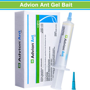 Advion Ant Gel Bait 30g Ant Control Gel Indoor Outdoor Use For Multiple Ant Species 1 Box (1 Plunger + 1 Tip)