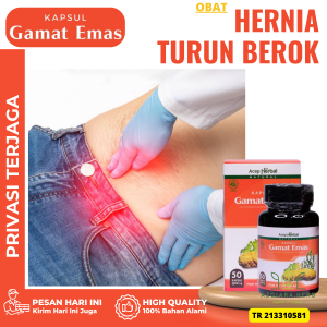 Obat Hernia Obat Turun Berok Pria Obat Nyeri Buah Zakar  Obat Usus Turun Obat Hernia Inguinalis Obat Hernia Feromalis Obat Hernia Umbilikalis - Obat Hidrokel - Obat Varikokel - Kapsul Gamat Emas
