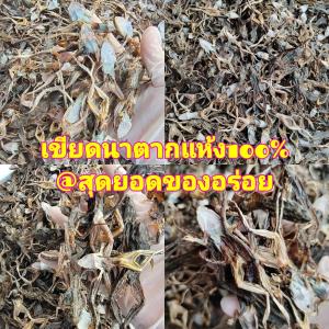 (พร้อมส่ง) เขียดนาตากแห้ง 100% ( 500 กรัม ) เขียดตากแห้ง เขียดแห้ง เขียด  ได้เยอะมากๆเพราะเขียดร้านเราตากแดดแห้งมากไร้กลิ่นเหม็น