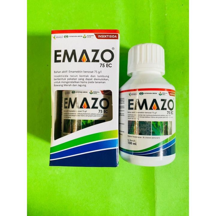 Yosh talaba qizlar erotika