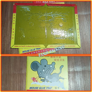 Lem Tikus Kertas/ Lem Cicak Perangkap Kecoa Serangga Model Buku Ampuh Murah