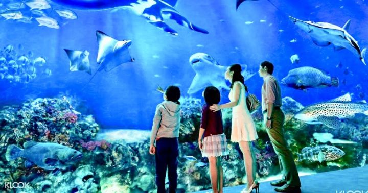 SEA Aquarium cheap ticket discount promotion Adventure cove water park ...