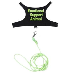 Regulable thằn lằn khai thác thiết lập ngoài trời đi bộ dây xích đầy màu sắc vật nuôi khai thác cho ngoài trời đi bộ nhỏ loài bò sát vật nuôi