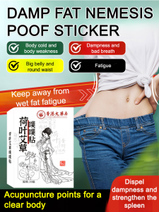 Lotus Leaf Herbal Big Belly Patch Wet  Buster Abdominal Patch Acupuncture Herbal Big Belly Patch