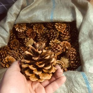 Decorative Pineapple Painting Decorative Christmas Pineapple Handmade DIY Shooting Props