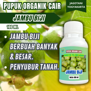 Pupuk Organik Cair Jambu 100 Ml Membantu Agar Cepat Berbuah Lebat Dan Subur By Jagotani Yogyakarta