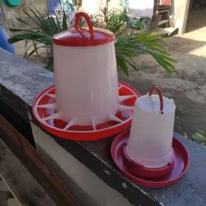 GLP Poultry Automatic Tube Feeder 6kls + 1ltrs Chicken Round Waterer | BUNDLE PROMO