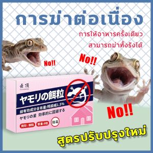 วิธีใหม่ในการฆ่าตุ๊กแกยาฆ่าจิ้งจก ยากำจัดตุ๊กแก ยาจิ้งจก ไล่จิ้งจก ไล่ตุ๊กแก ก้อนไล่ตุ๊กแก 8 ชิ้น เหยื่อล่อจิ้งจก ฃ่าต