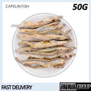 [ PAPAYA GROUP ] Freeze Dried 50G ( Chicken Cube Chicken Breast Salmon Bite Tuna Egg Yolk ) - Pet Treat / Cat Treat / Dog Treat / Pet Snack / Cat Snack / Dog Snack / Pet Food / Cat Food / Dog Food / Snek Kucing / Makanan Kucing Ringan