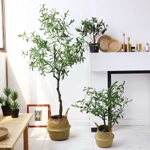 Cây oliu giả - Size 130cm đến 160cm - Oliu giả lõi thép trang trí - Cây giả hoa lụa Decor trang trí nhà cửa