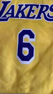 AE Thermo-pressed jersey 26 Season Raptors 76 Reno7 Magic Warriors Lakers New Casual Basketball Jersey