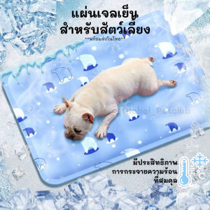 สัตว์เลี้ยง ที่นอนเจลเย็น แผ่นเจลเย็น เบาะนอนเย็น สำหรับสัตว์เลี้ยง หน้าร้อน แผ่นทำความเย็นพร้อมส่งซัมเมอร์ซัมเมอร์