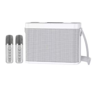 Wireless Bluetooth Dual Microphone Karaoke Speaker Outdoor Family Party Ktv Equipment Bluetooth Audio Portable Stereo