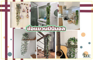 ช่อแชวนผนัง ช่อแขวน ต้นไม้แขวนผนัง ช่อแขวนมินิมอลล ยาว 72 ซม. มี 3 แบบ