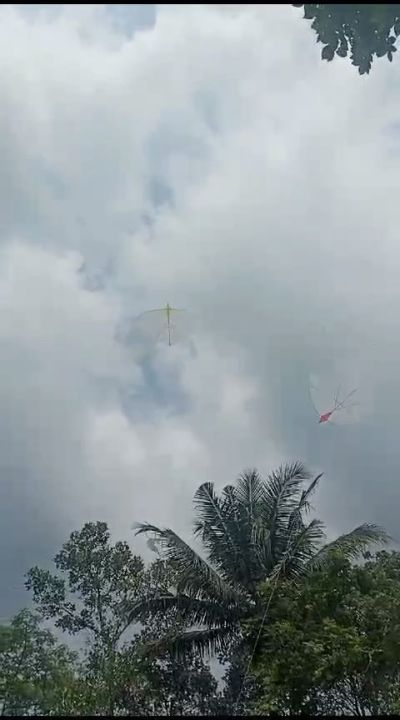 Layangan Papiran ukuran 80cm Untuk lomba Siap Terbang sudah setting