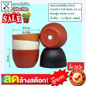 กระถาง PU010 ขนาด 2.5 นิ้ว คละสี 24 ใบ กระถางกระบองเพชร กระถางปลูกต้นไม้ เนื้อพลาสติกแน่นหนาทนทาน ราคาถูก กระถางแคคตัส กระถางกระบองเพชร
