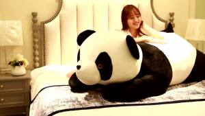 Búp Bê Gấu Trúc Khổng Lồ Đồ Chơi Sang Trọng Gối Ngủ Cỡ Lớn Búp Bê Vải Đáng Yêu Gấu Ôm Trên Giường Cho Nữ Búp Bê Quá Khổ