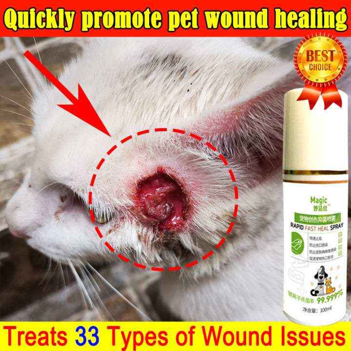 🔥Doctor Recommended🔥Magic Wound Spray For Dogs And Cats 100ml Open Wound  Sterilization And Disinfection Prevent Infection And Promote Wound Healing  Pet Antibacterial Spray Wound Healing Cream Wound Wash Treatment Medicine  For Dog