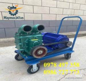 Máy Hút Bùn Ao Hồ – Chuyên Dụng Cho Trang Trại Hầm Phân Chăn Nuôi