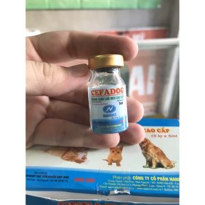 Cefadog lọ 5ml chữa đường ruột chó mèo thú cưng