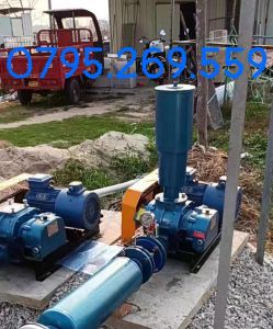 Máy nén khí oxy 65-3kw tạo khí oxy nuôi tôm cá 2 bình dầu đầu hút cao nhập khẩu