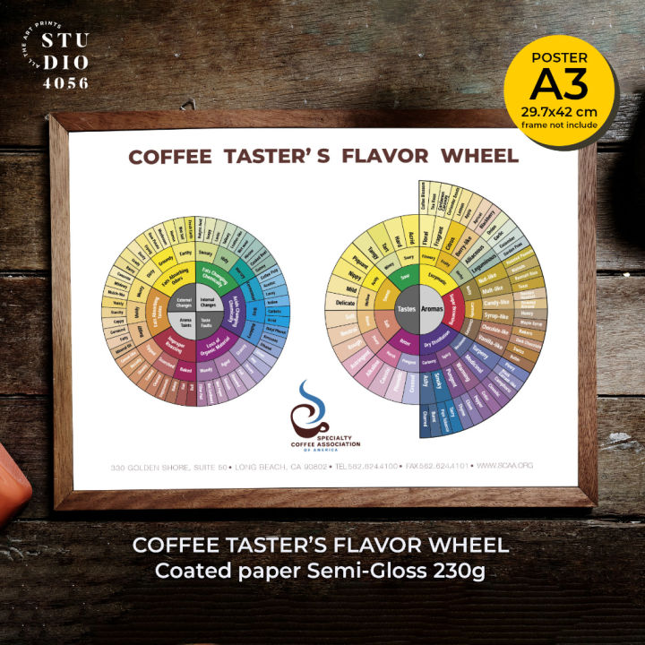 THE COFFEE TASTER'S FLAVOR WHEEL POSTER SCA (001) size A3 | Lazada.co.th