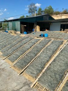 (3KG) MIẾN DONG THÁI TAY SỢI TO/SỢI NHỎ ĐẶC SẢN ĐIỆN BIÊN