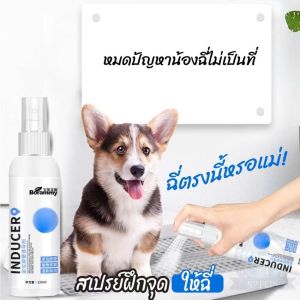 BHQ PET  สเปรย์ฝึกการขับถ่าย ให้ฉี่ ห้ามฉี่ สำหรับสัตว์เลี้ยง ฉีดตรงไหนได้ผลตรงนั้น ปลอดภัยไร้สารตกค้าง แมว สุนัข หมา 120 ml
