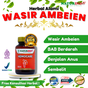 Obat Wasir Ambeien Ampuh Herbal Benjolan BAB Berdarah Anus Keluar Stadium 1 4 Sembelit