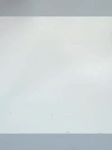 Tofu JoJio 100% Tofu Cat Litter Flushable Deodorant Antibacterial Low Dust Mixed Cat Litter