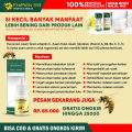 Obat Penghancur Sisa Gigi Berlubang - Obat Tetes Untuk Mengobati Penyakit Gigi - Obat Penghancur Gigi Berlubang - Obat Akar Gigi - Obat Sakit Gigi Berlubang / Gigi Bolong - Obat Gusi Bengkak - Obat Penghancur karang Gigi - Propolis SM Brazil Original. 