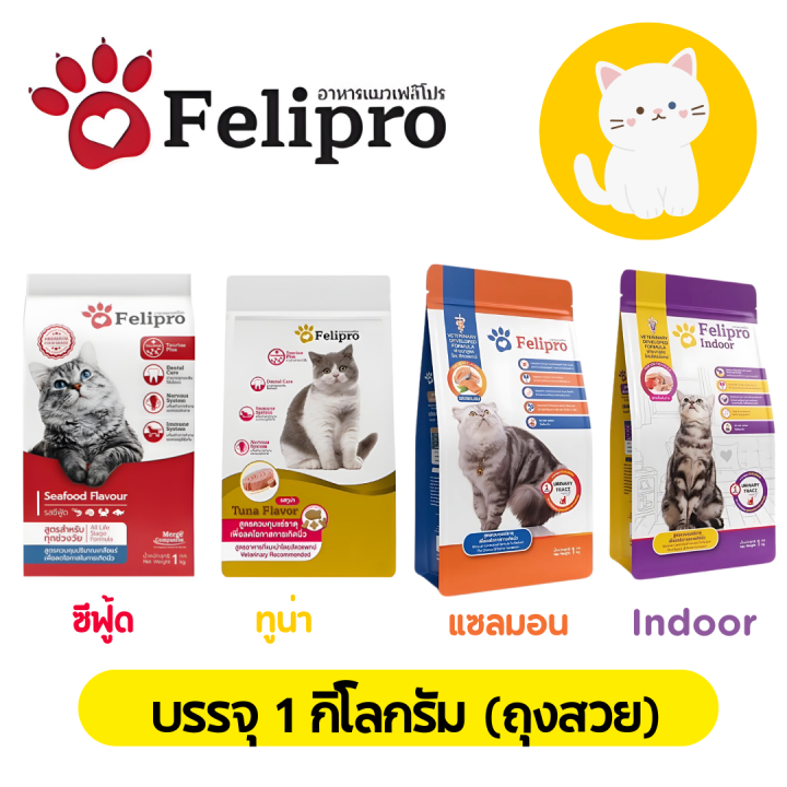 10 อันดับอาหารแมว Felipro (เฟลิโปร) ยี่ห้อไหนดี? อัปเดตปี 2025 สำหรับทุกความต้องการ!