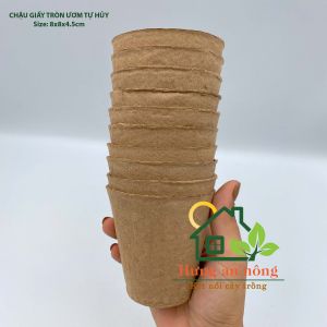 CG8UTH - 50 chậu giấy tròn tự hủy ươm cây giống tiết kiệm và bảo vệ môi trường. size 7.5x8cm