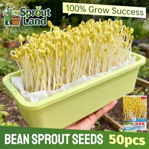 [Fast Growing] 50pcs/pack Hydroponic Bean Sprout Seeds Fresh Organic Bean Sprout Seeds for Planting Vegetable Plants Bean Sprout Vegetable Seeds for Pot Gardening Potted Bean Sprout Live Plant Mung Bean Seedlings High Germination Microgreens Veggies Seeds