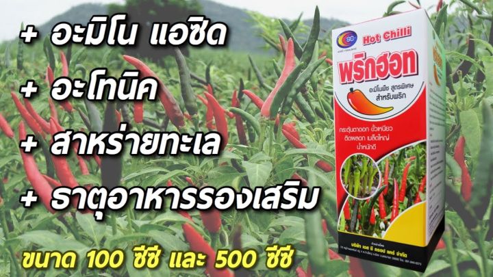 พริกฮอท ฮอร์โมนบำรุงพริก 100ซีซี สำหรับทุกช่วงระยะ