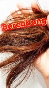 in  stock BIOCHO - MINYAK RAMBUT ZAITUN OLIVE HAIR OIL UNTUK RAMBUT GUGUR ROSEMARY AND ROSE 100% NATURAL
