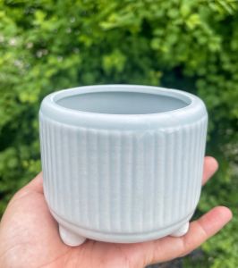 Chậu gốm sứ hoa văn nổi trồng cẩy kiểng mini