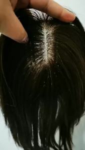 FCWomens wig 100% Real Human Hair Wig Piece Block White Hair on the head top Increase Hair Volumes (9*14cm Area) 30Cm/35cm/40cm Length RW83